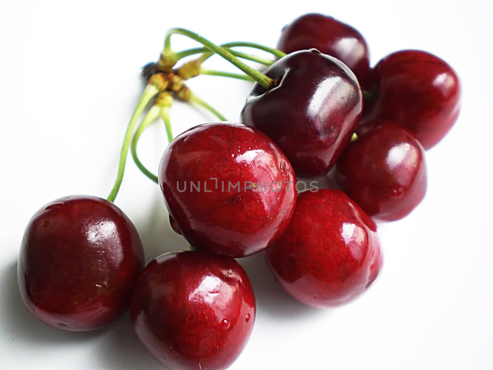 red cherries on white background