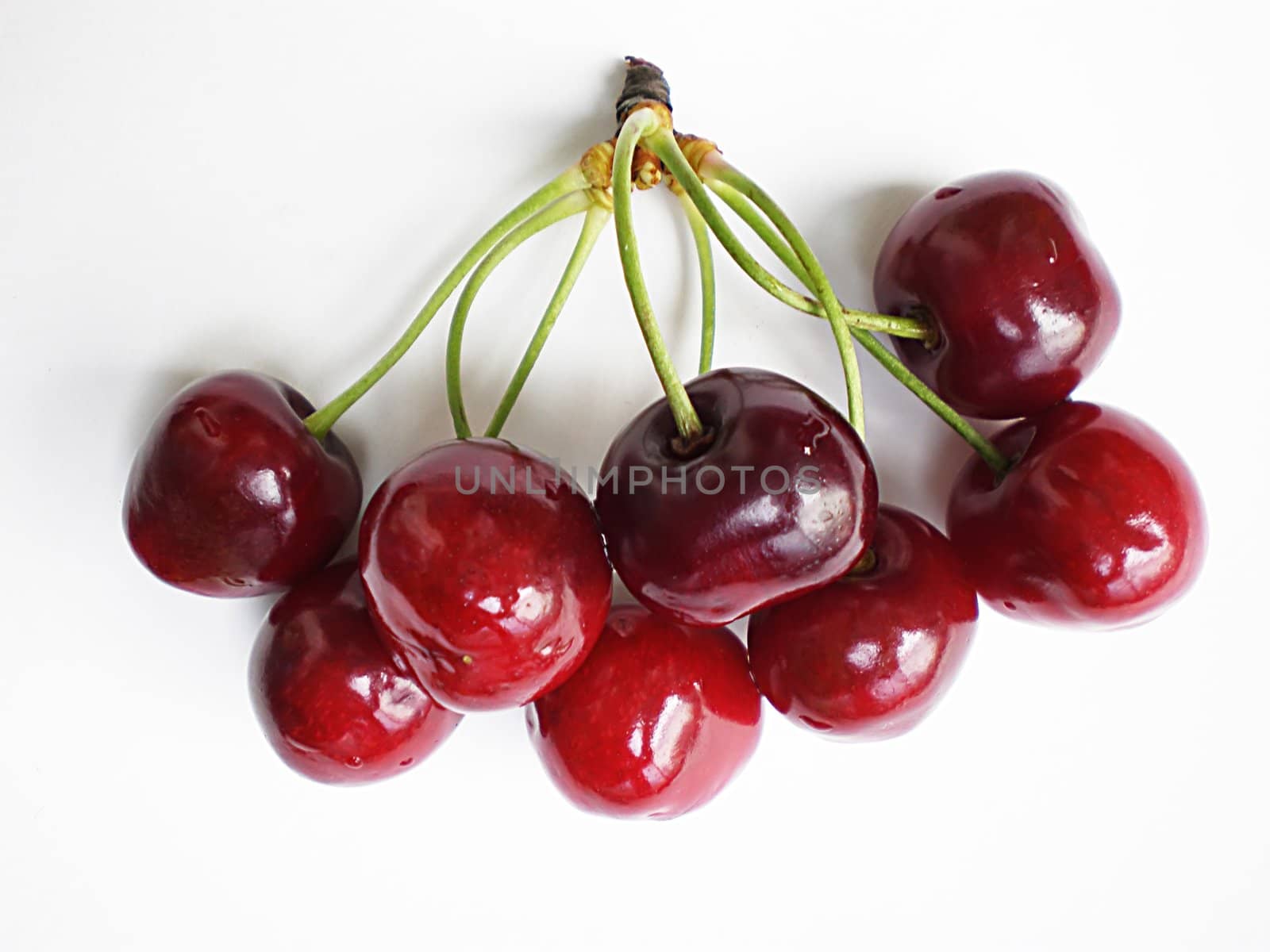 red cherries on white background