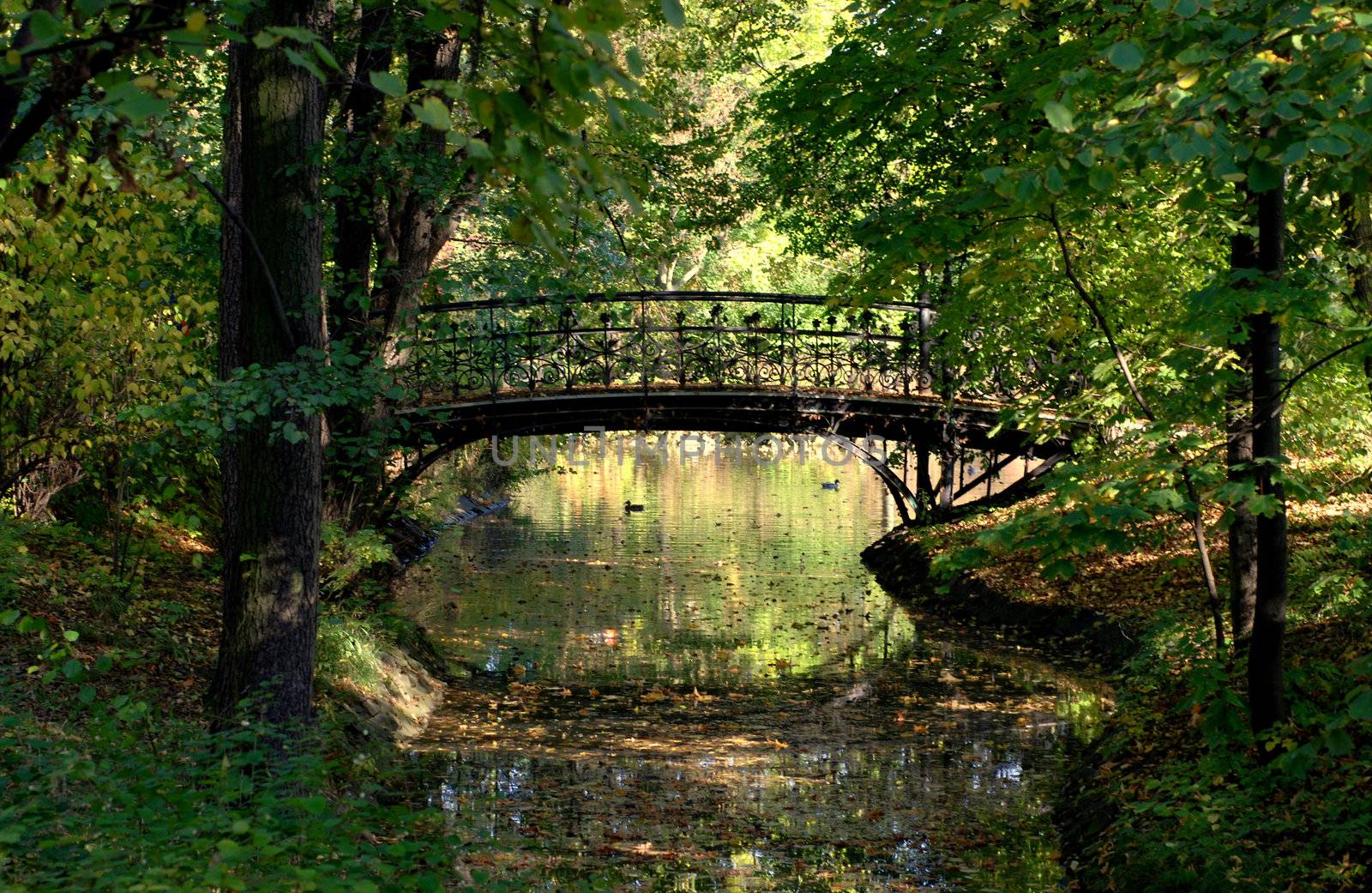  A small bridge in South Park in Wroclaw. 