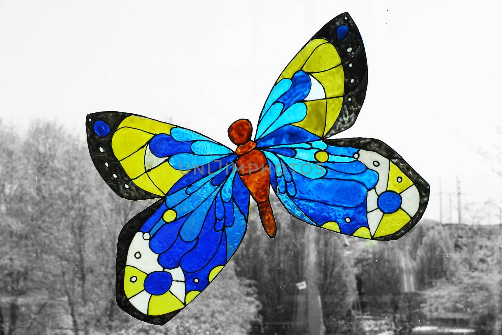 Glass Butterfly by jasony00
