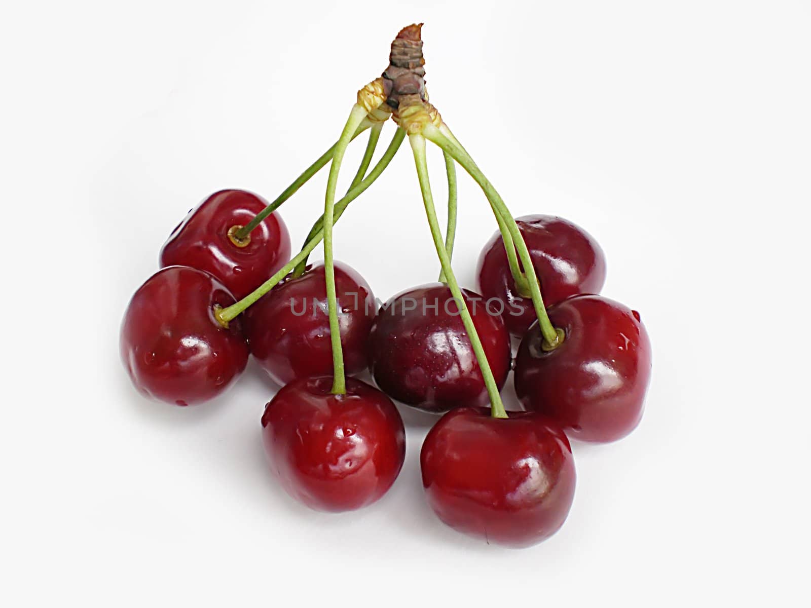 red cherries on white background