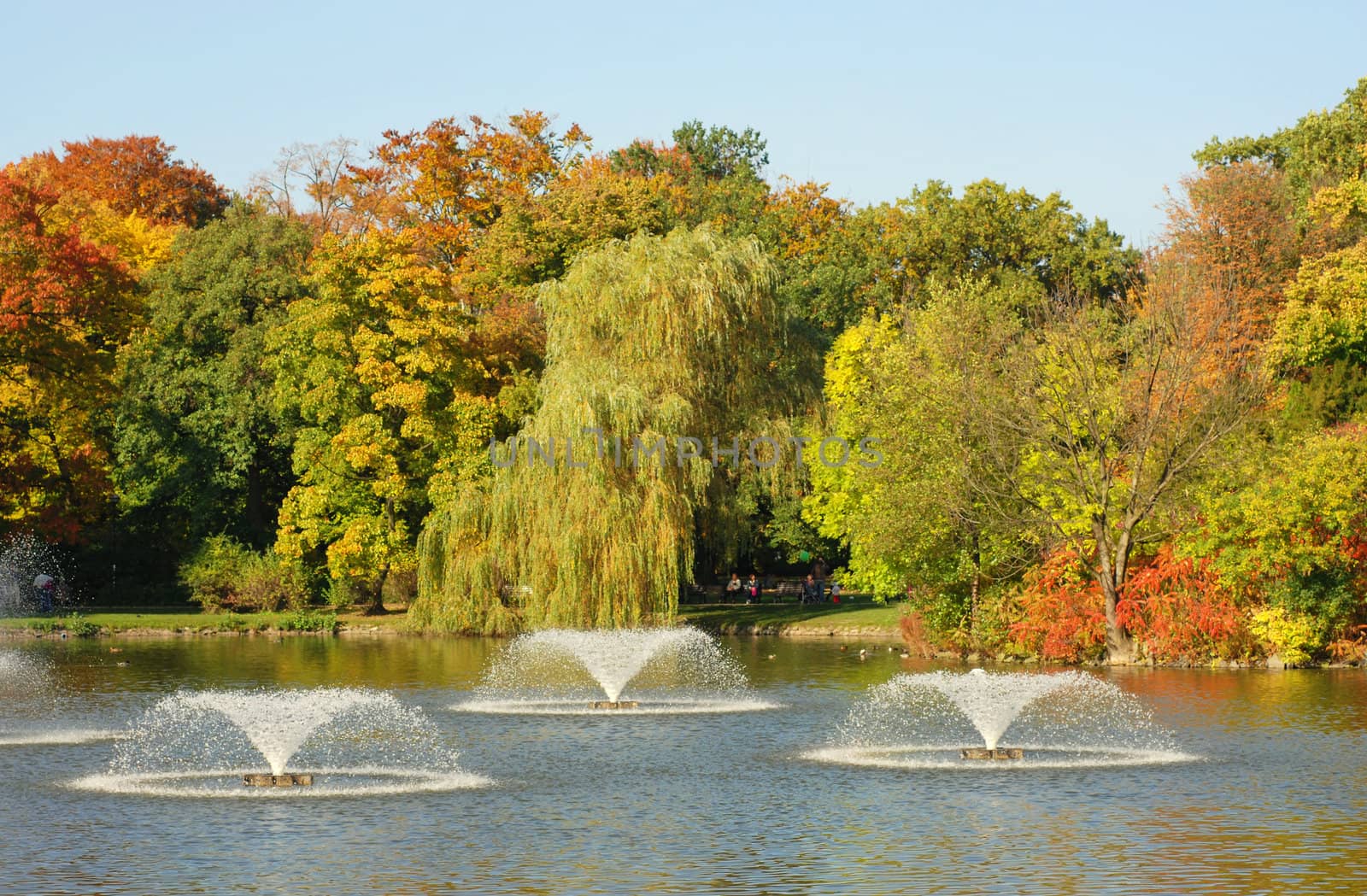 Fountains autumn season. Wroclaw, Park South. Poland.