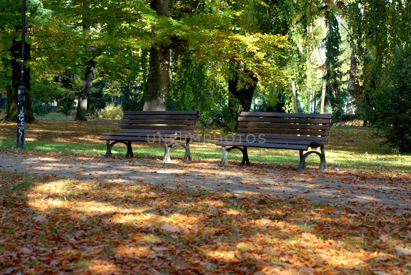 Benches in the park, Autumn season. by wojciechkozlowski