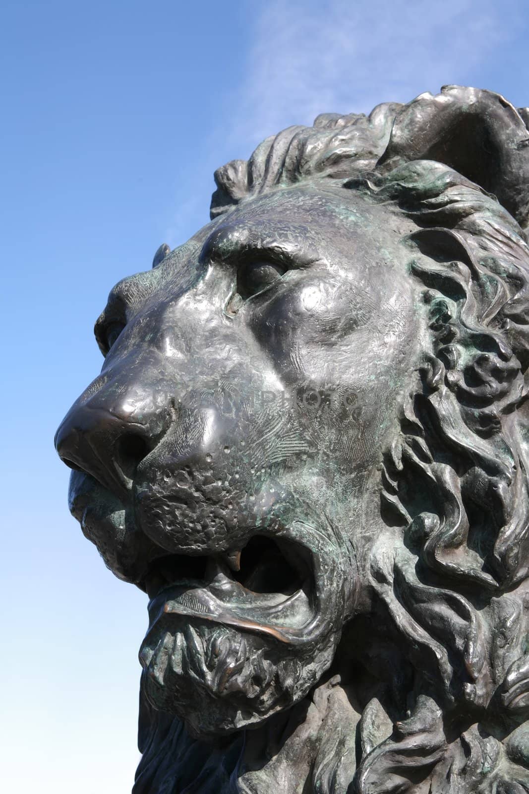 Fragment of the Cast-iron Sculpture on Background Blue Sky, Lion's Head