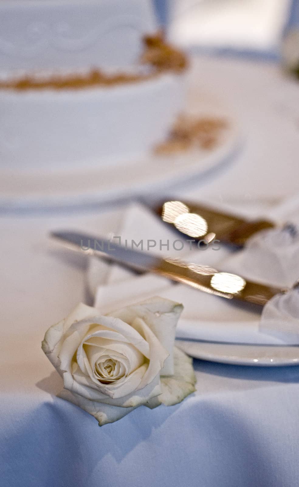 A single white rose with the wedding cake in the background.