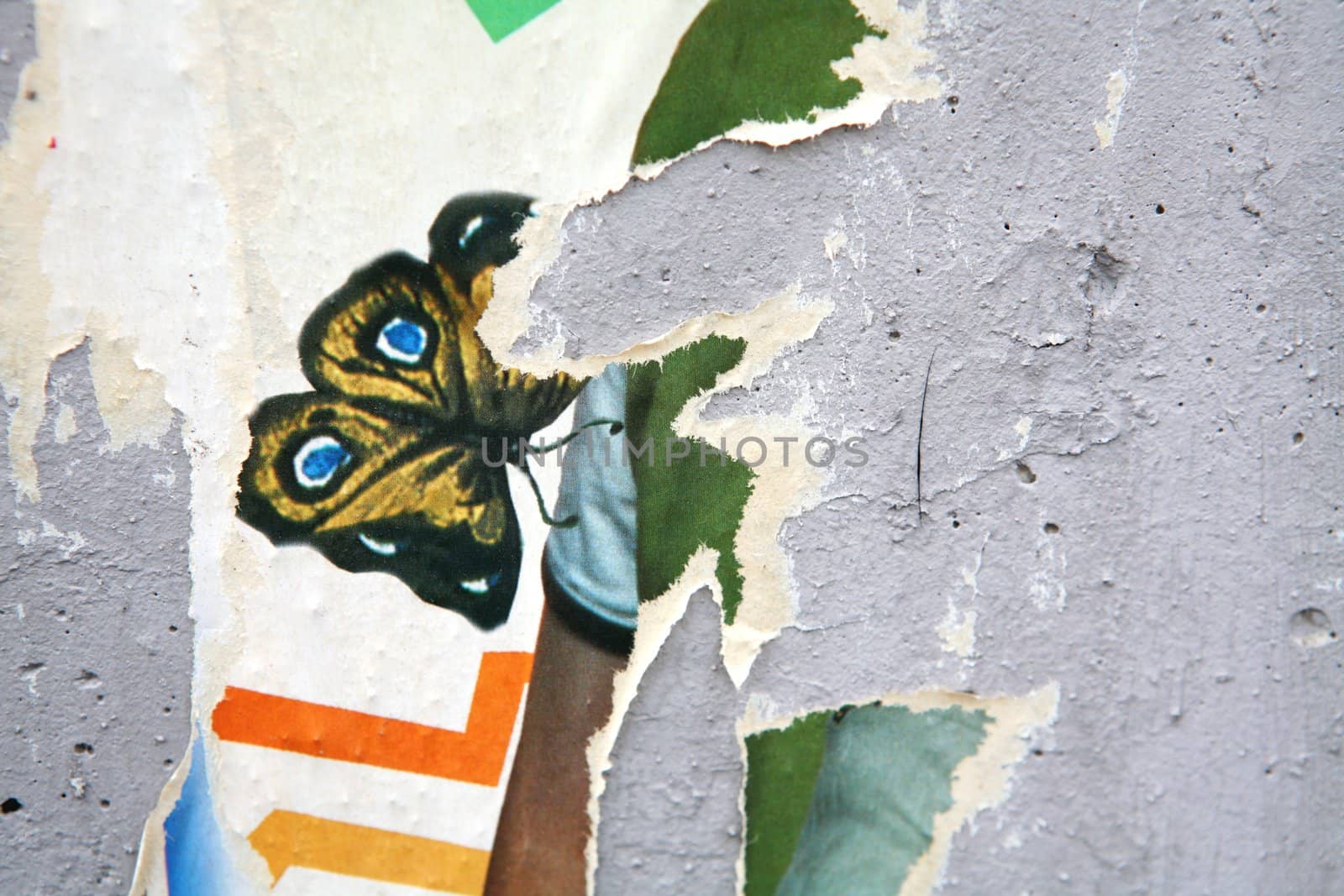 Texture, Varicolored Concrete Wall with Scrap of the Posters and Announcements, Background, 