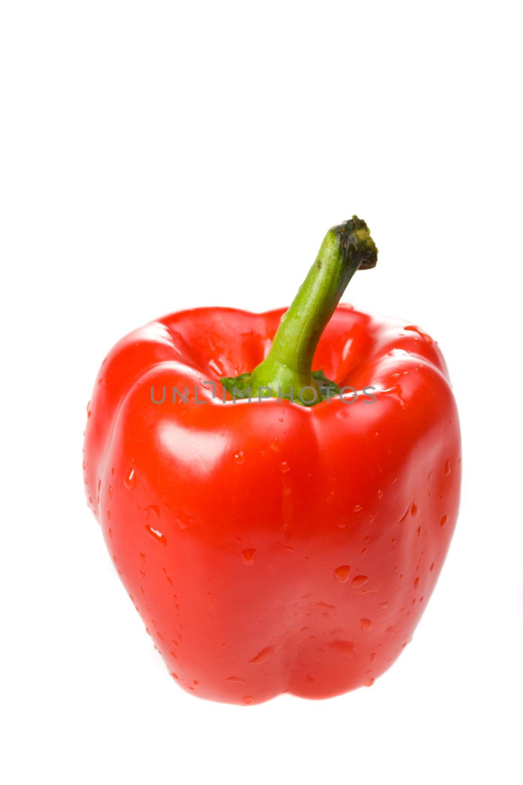 single red bell pepper on white background by bernjuer