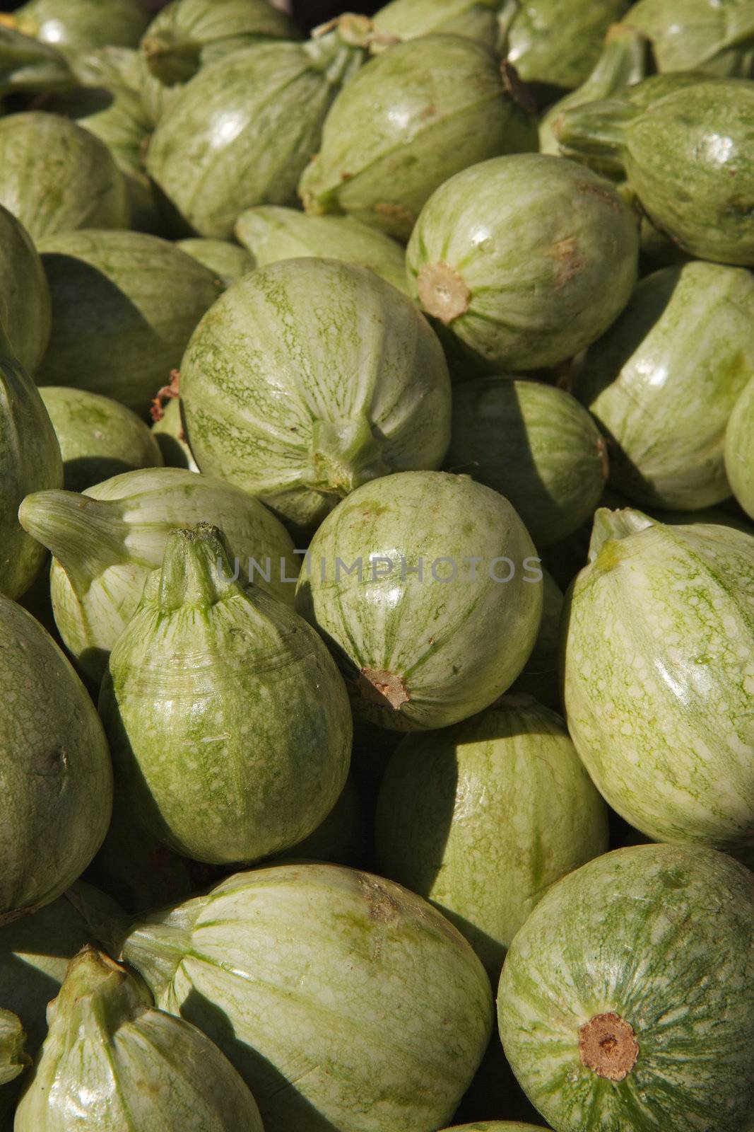 Pile of green round squash at the farmers market