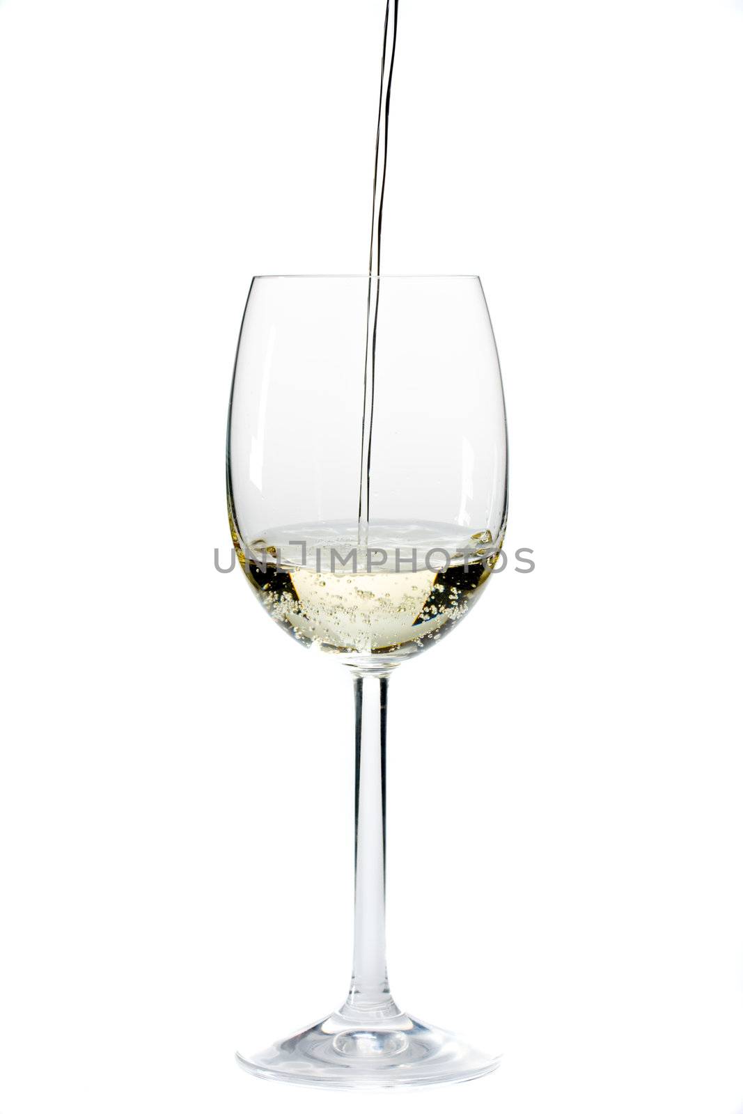 pouring white wine in a glass over a white background by bernjuer