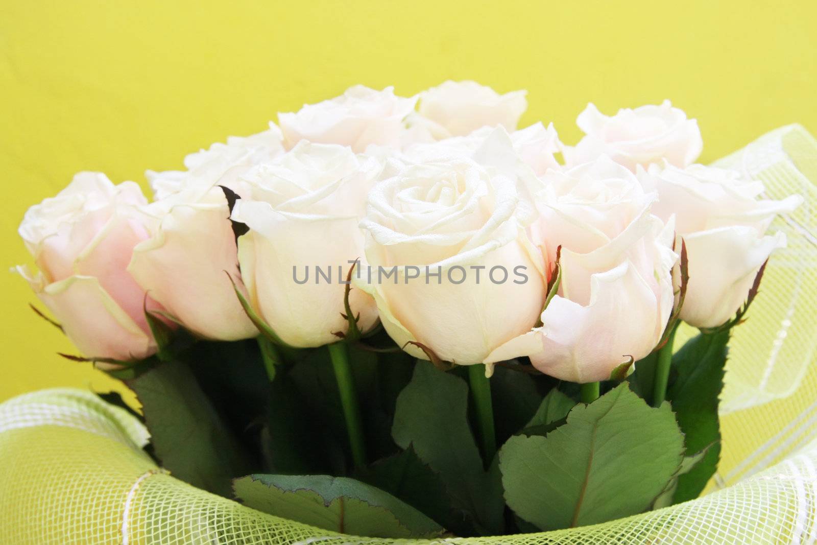 Beautiful wedding bunch of pale pink roses by rozhenyuk