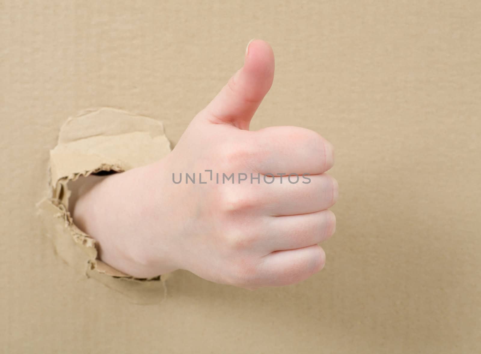 The female hand on cardboard background (thumb up)