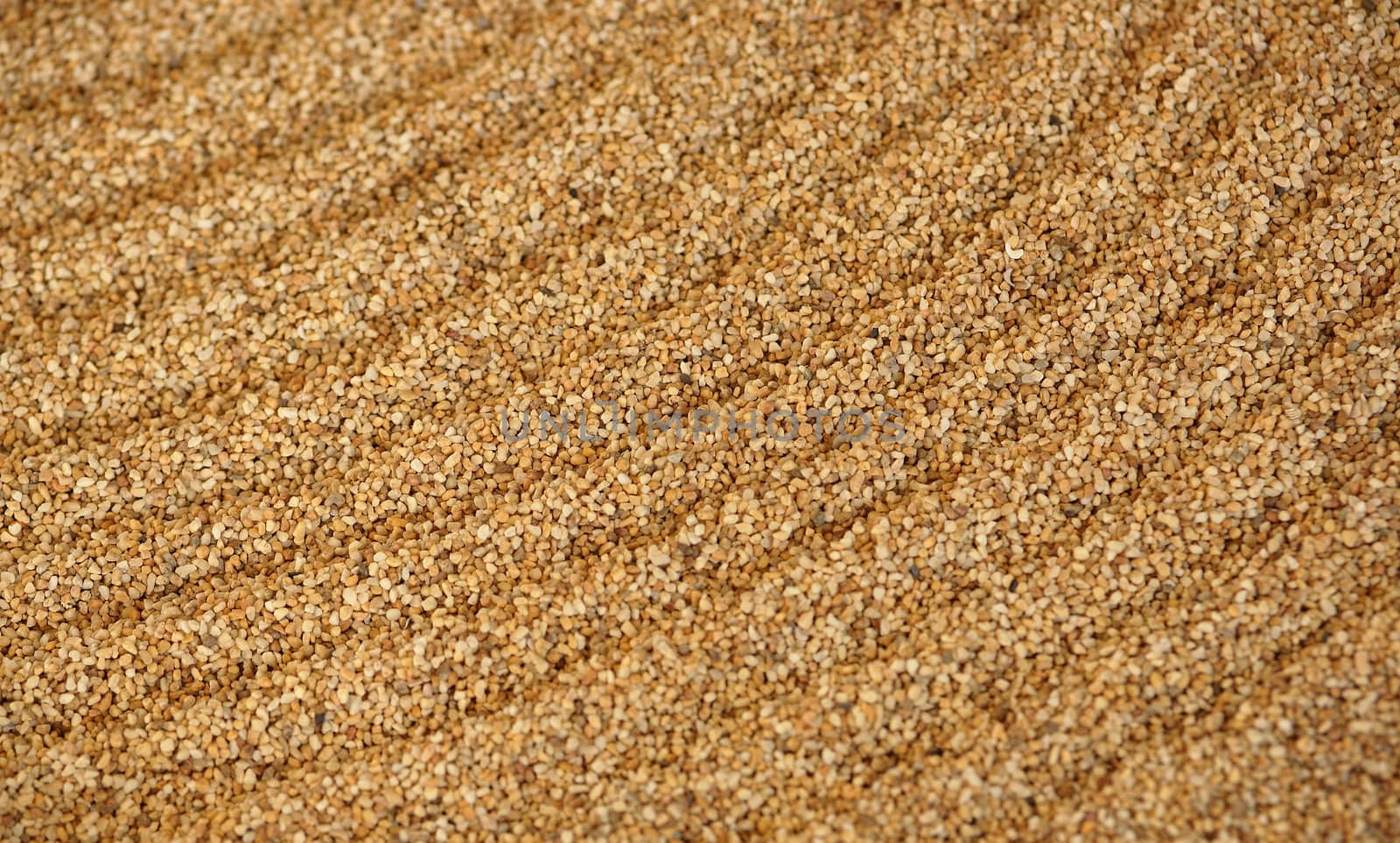 sand background