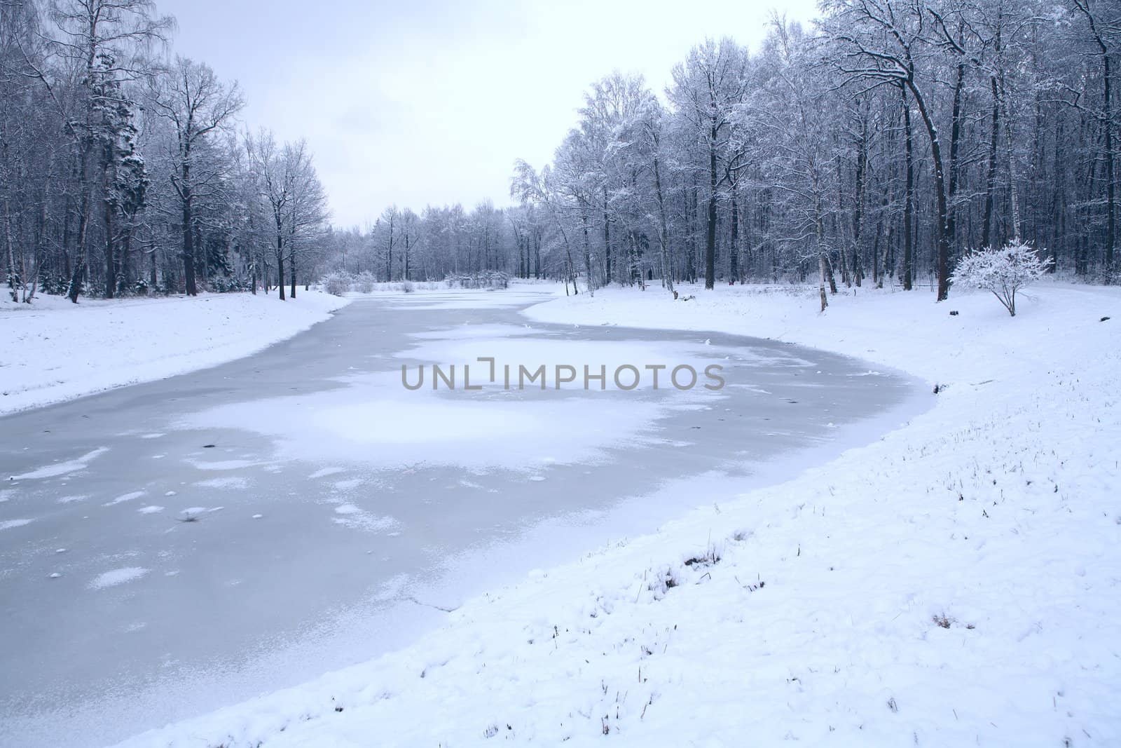 the freezing morning in the town park