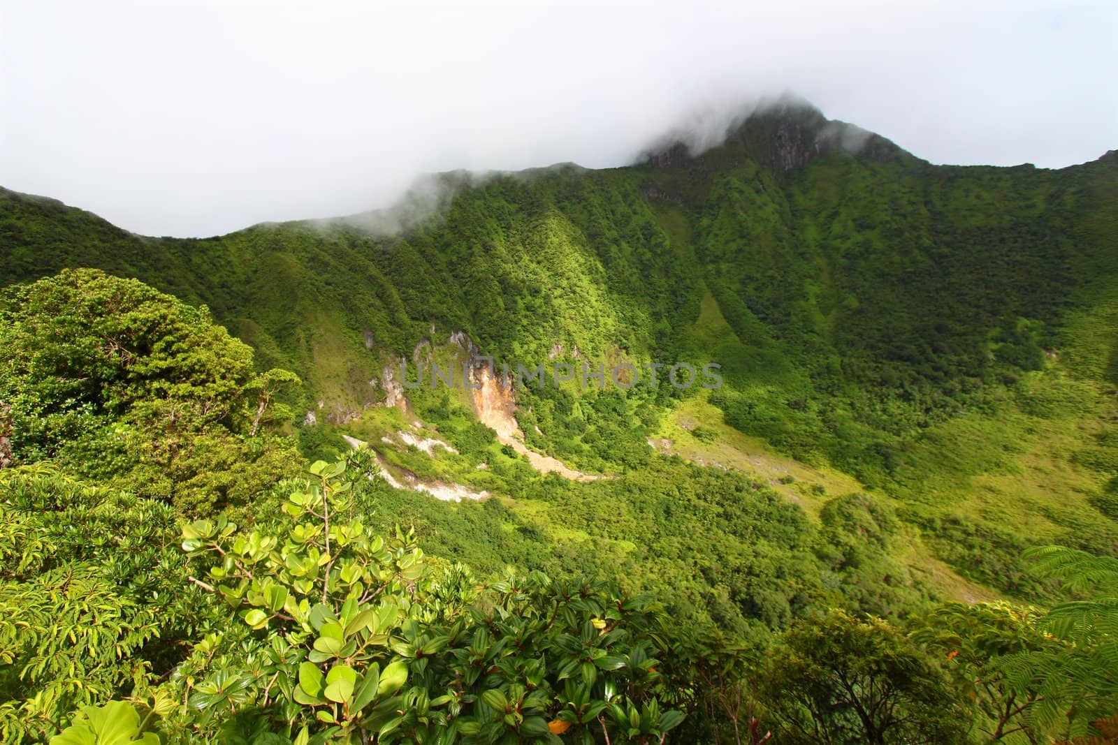 "The Crater" - St Kitts by Wirepec