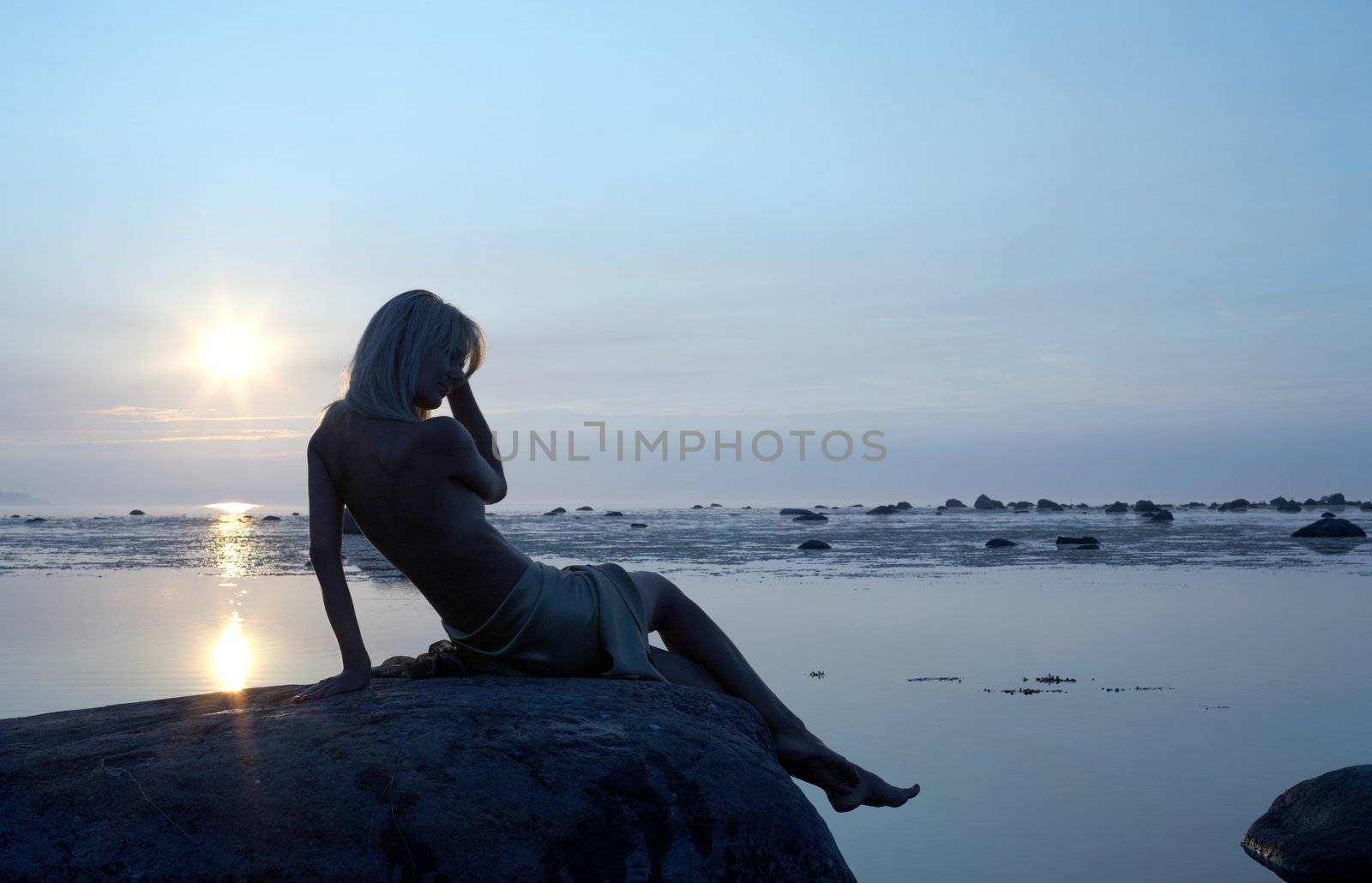 silhouette image of topless lady on the rock