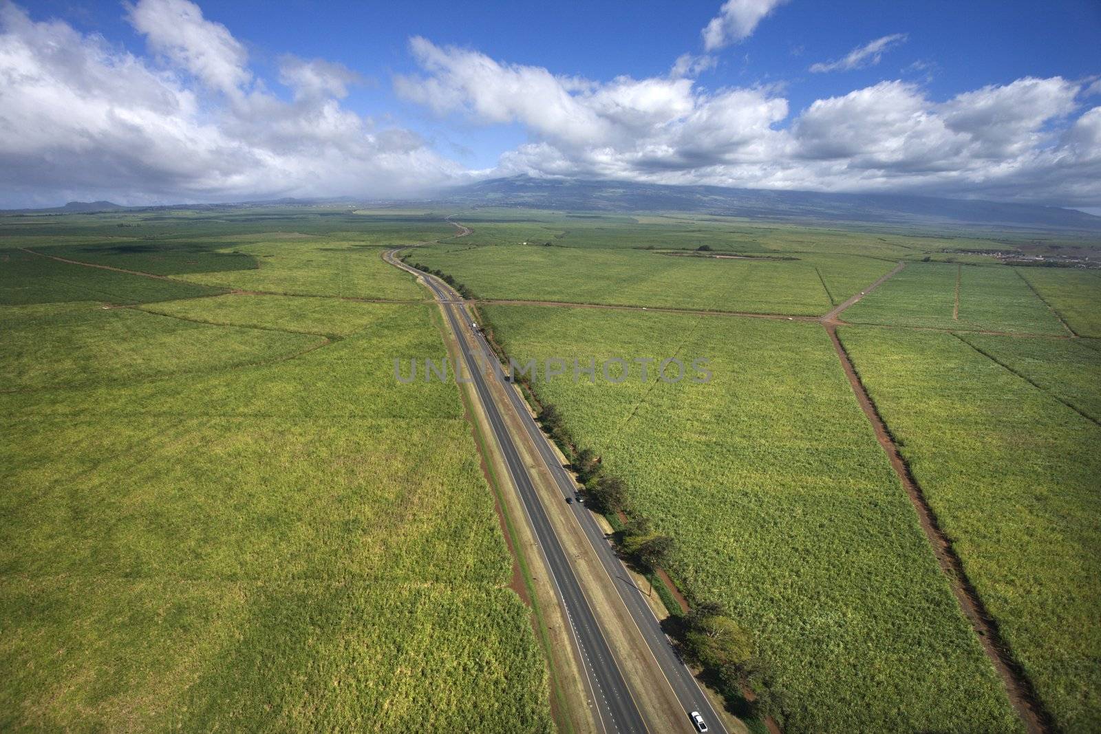 Aerial view of road passing through farmland fields in Maui, Hawaii.