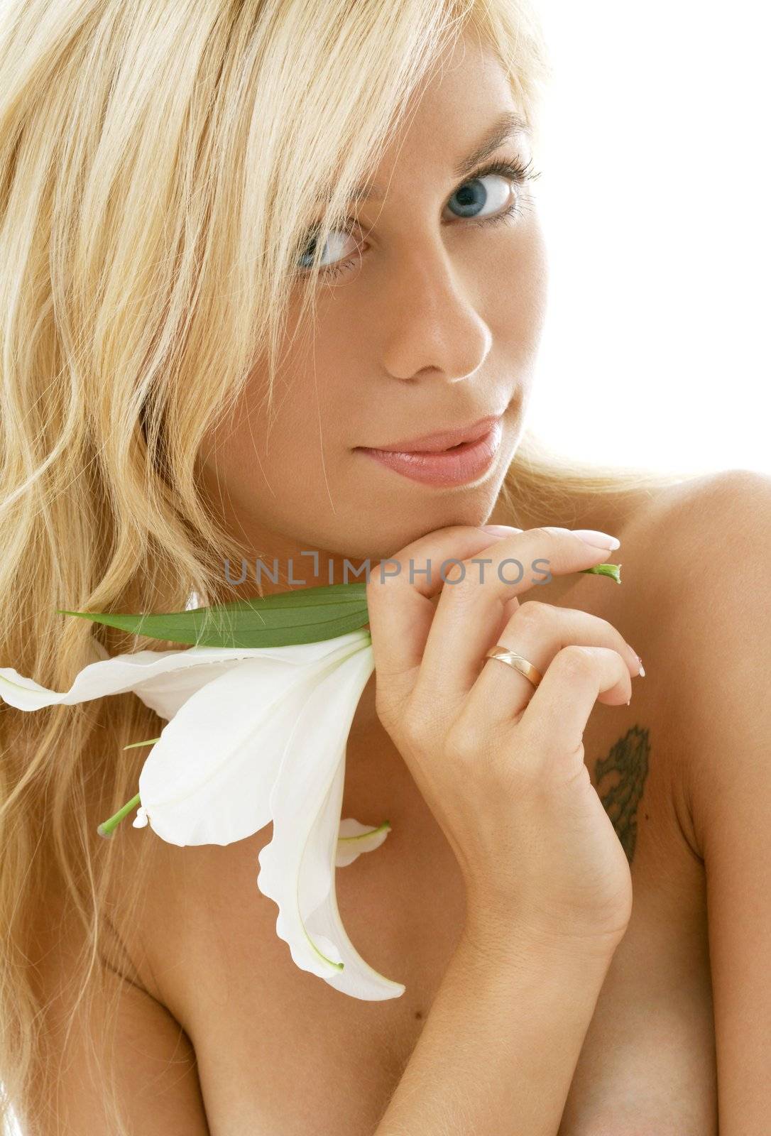 pretty lady with madonna lily over white background