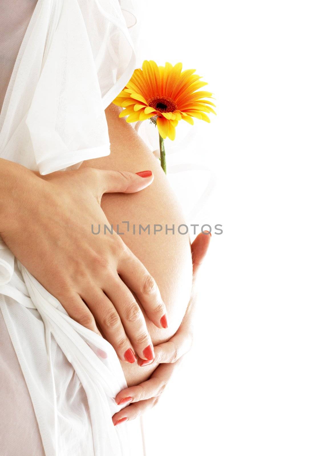 pregnant woman holding her belly and yellow flower