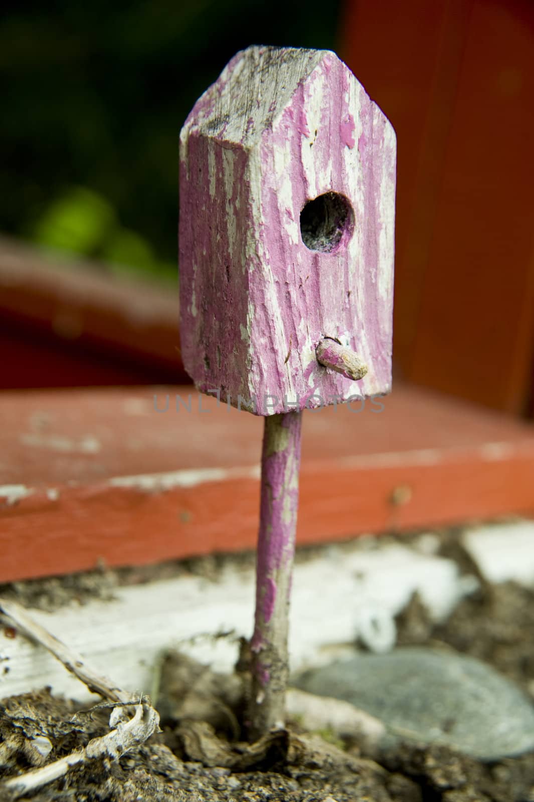 Small house for birds as garden decoraition