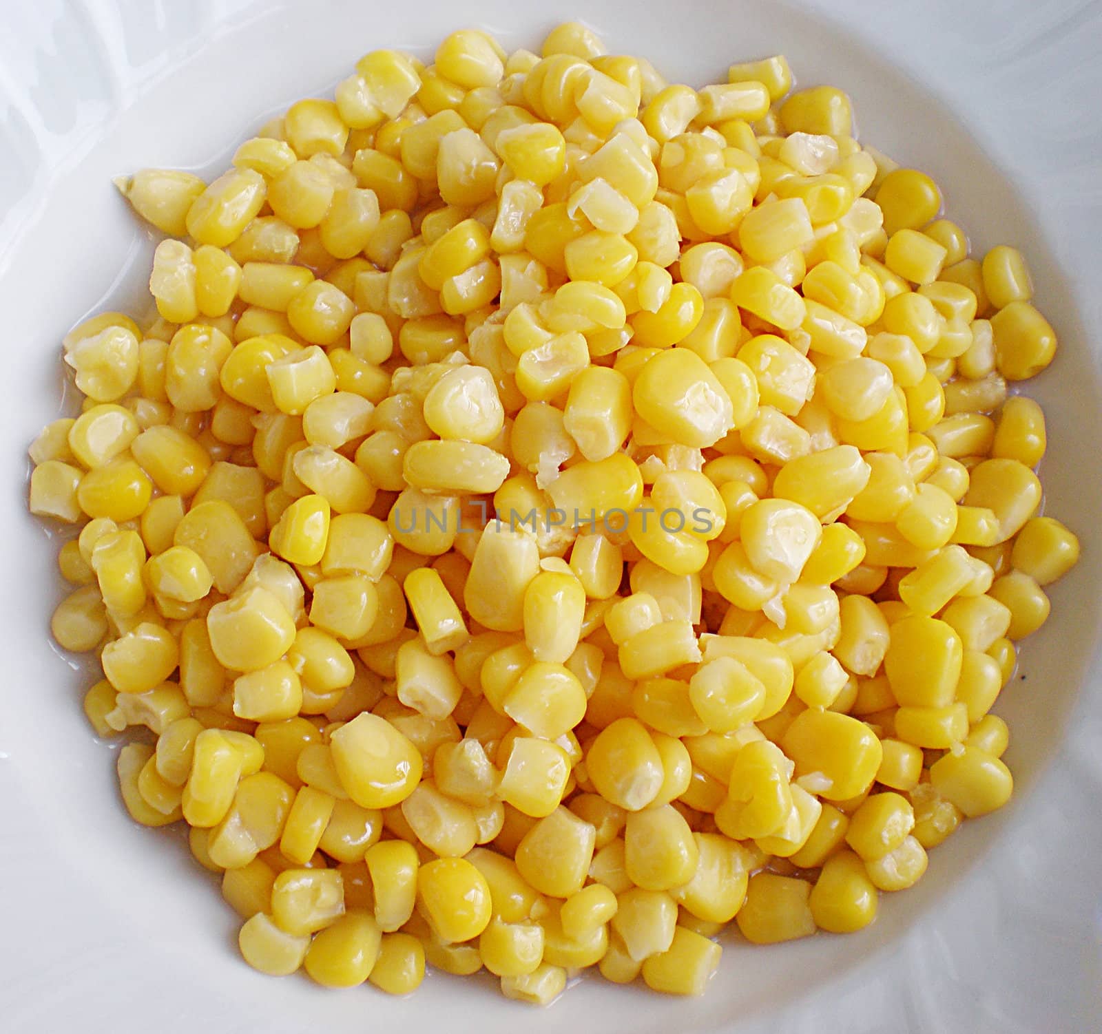 sweet corn in a plate