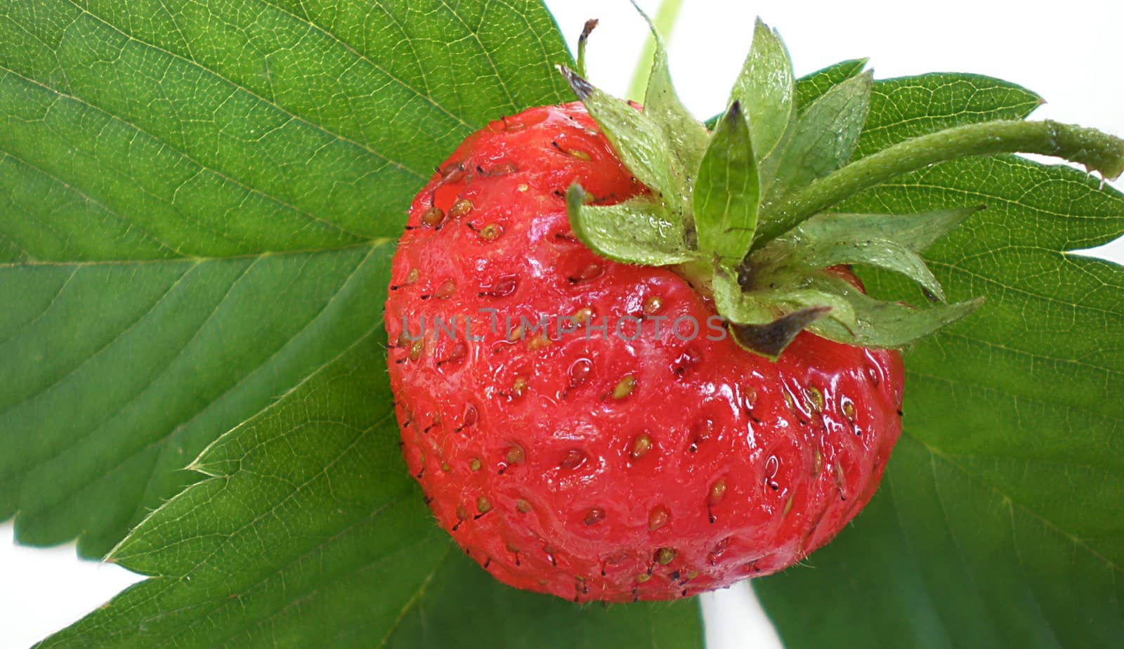 strawberries by Dessie_bg