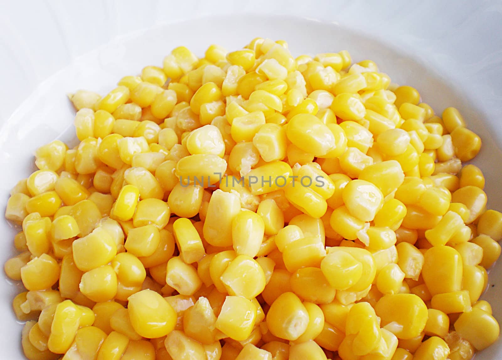 corn by Dessie_bg