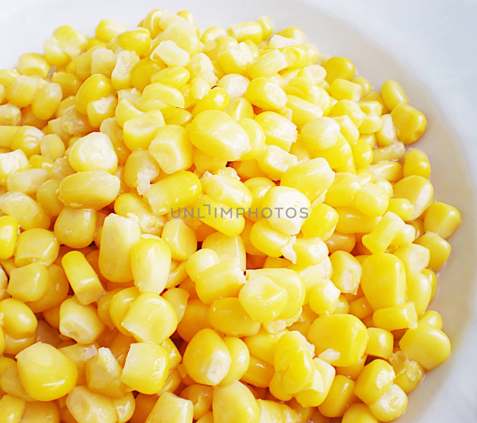 corn by Dessie_bg