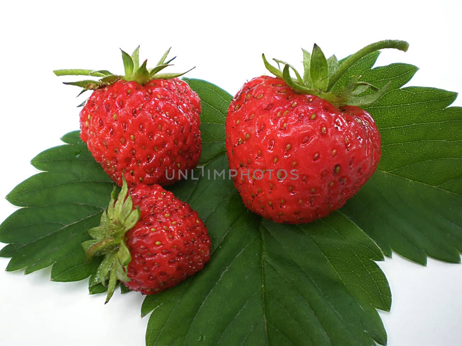 strawberries on green leaves