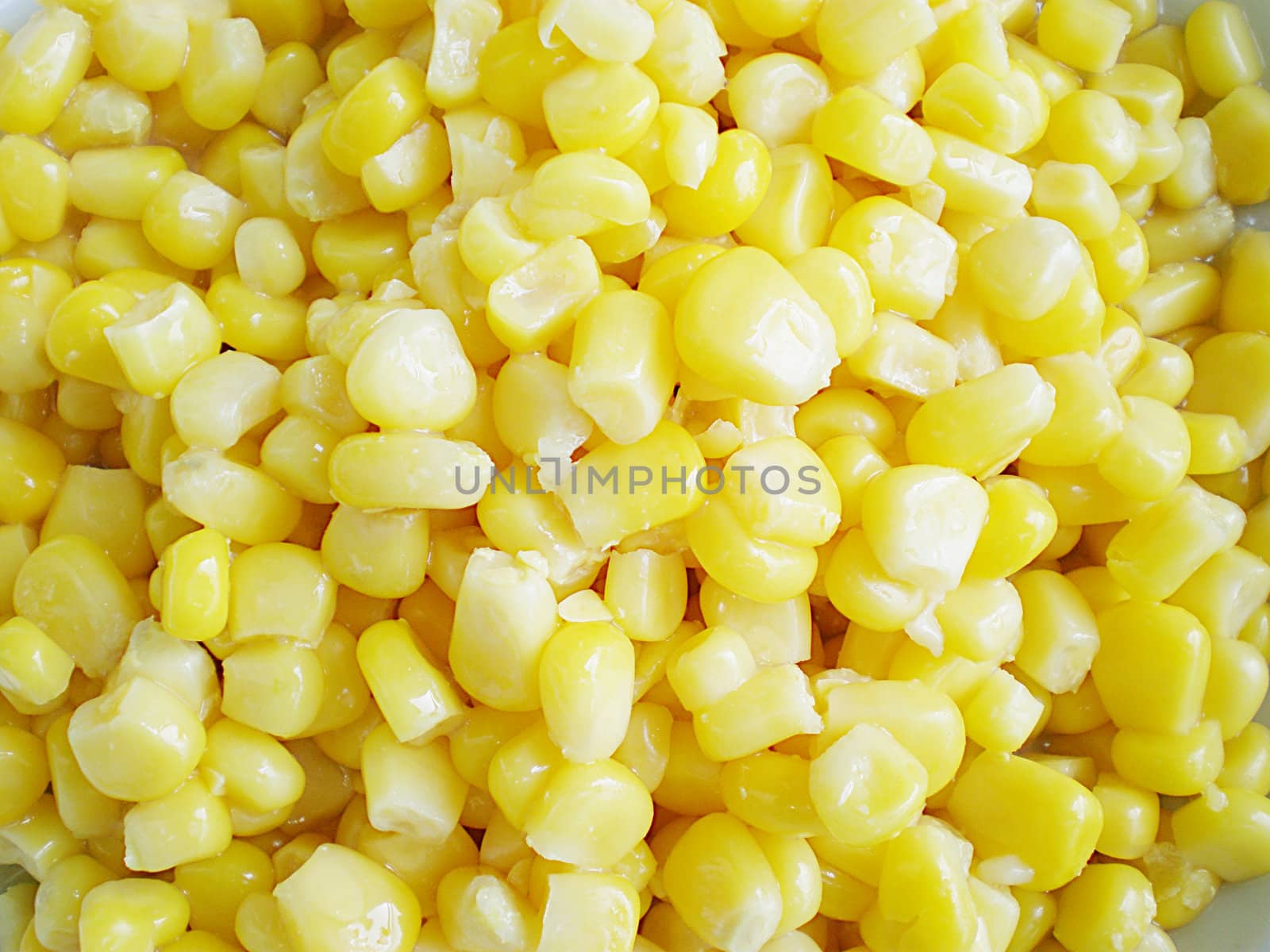 sweet corn in a plate