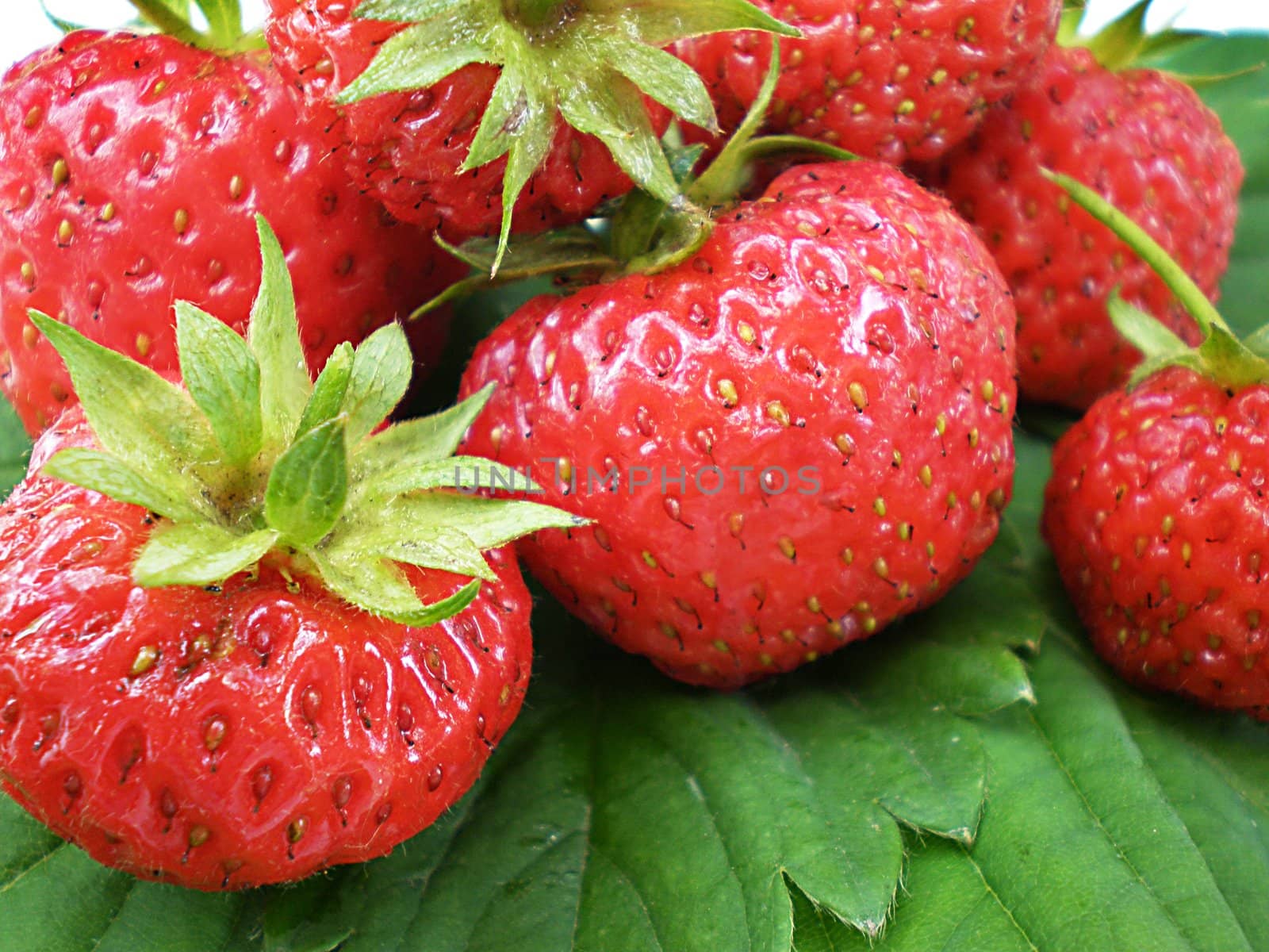 strawberries on green leaves