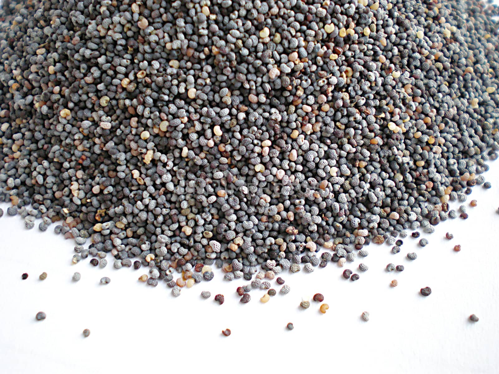 poppy seeds isolated on white background