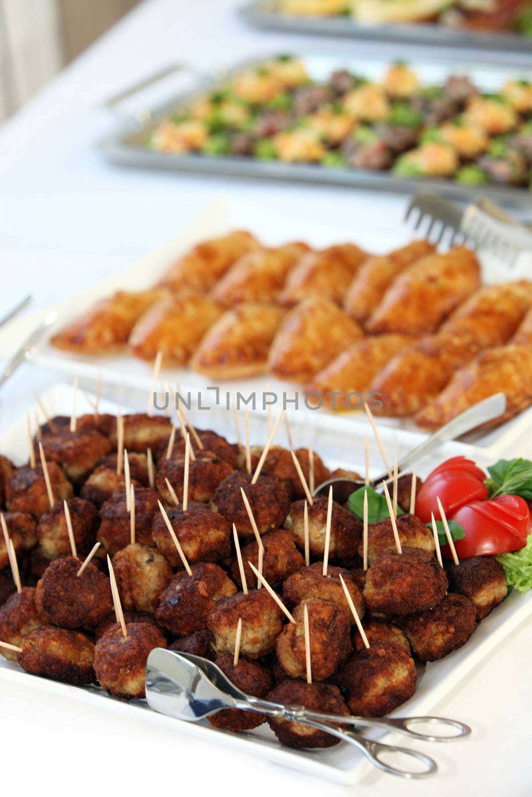 Appetizers and finger food-closeup