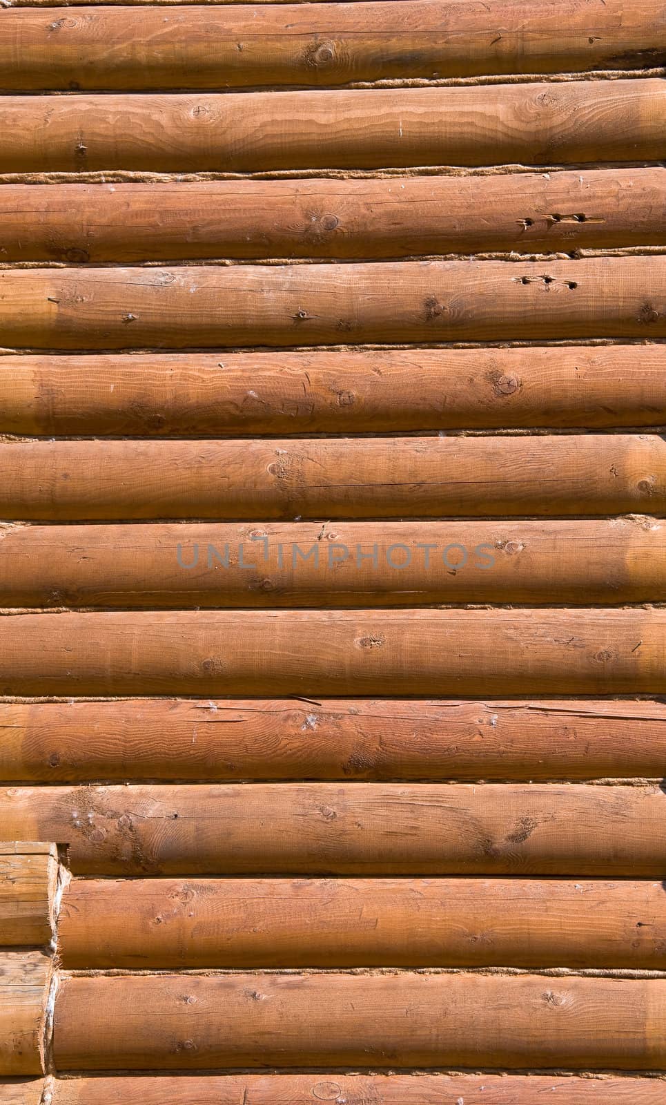 Detail of the wall section log house. Close-up. Stained wood. Pine wood.