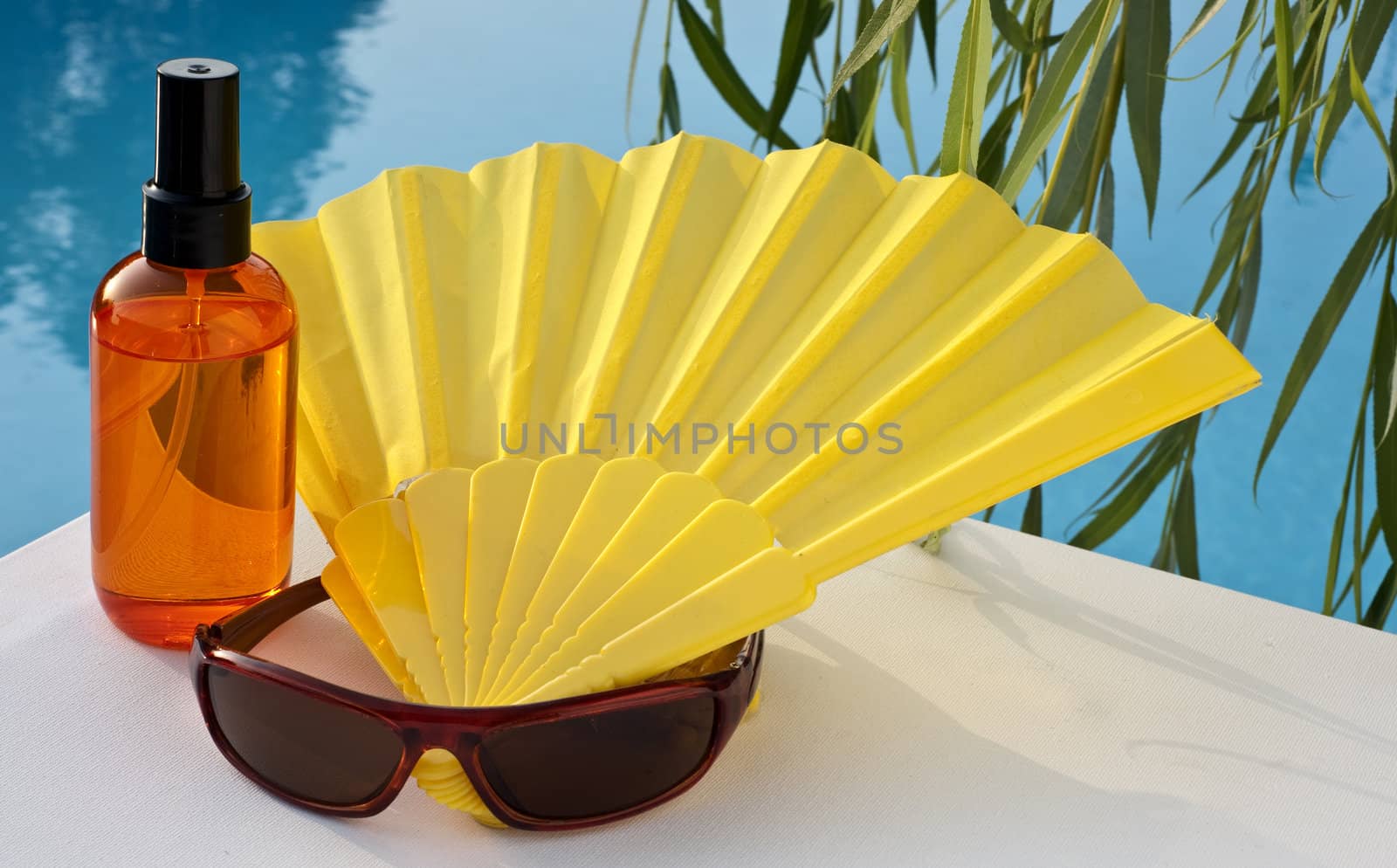 Fans colored in a private house and pool
