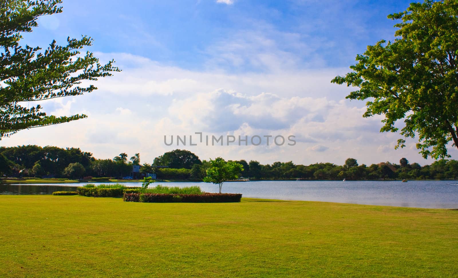 Lake with trees in foreground