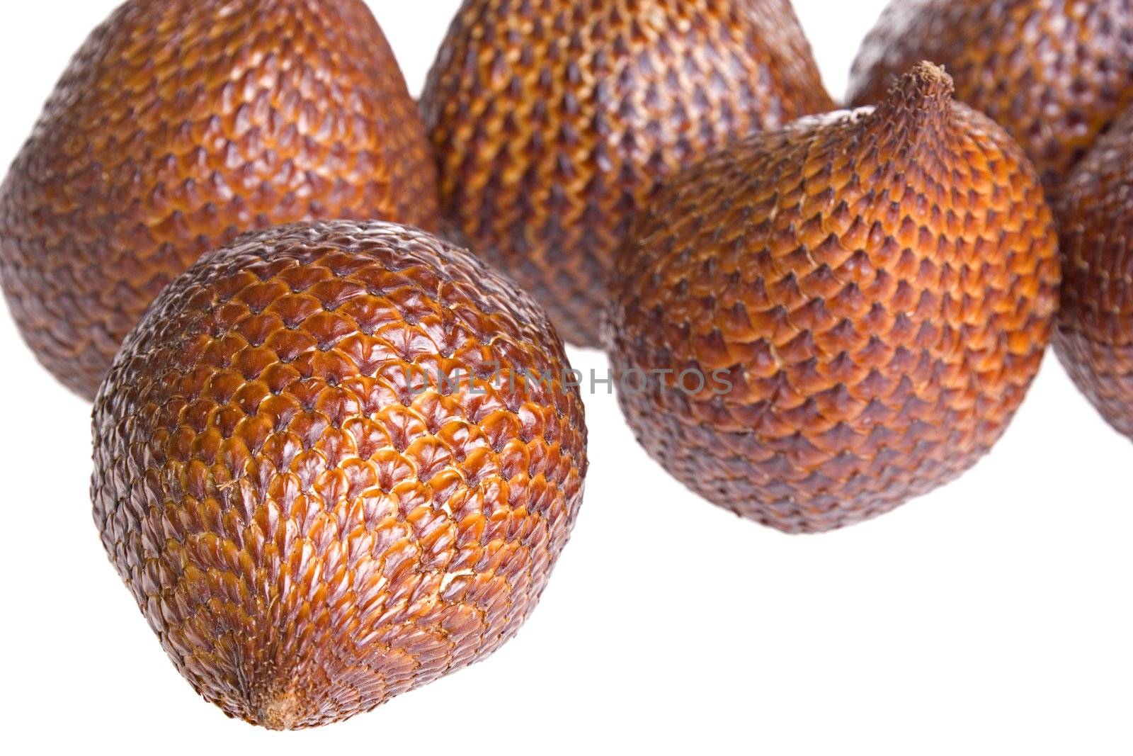 Isolated close-up image of Snake Fruits, commonly known locally as Buah Salak.