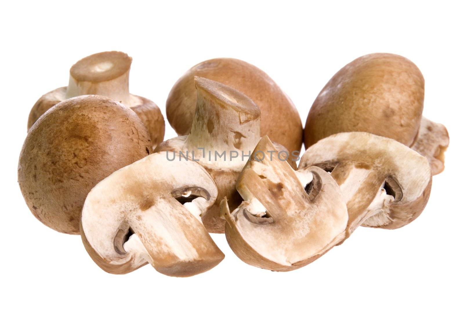 Swiss Brown Mushrooms by shariffc