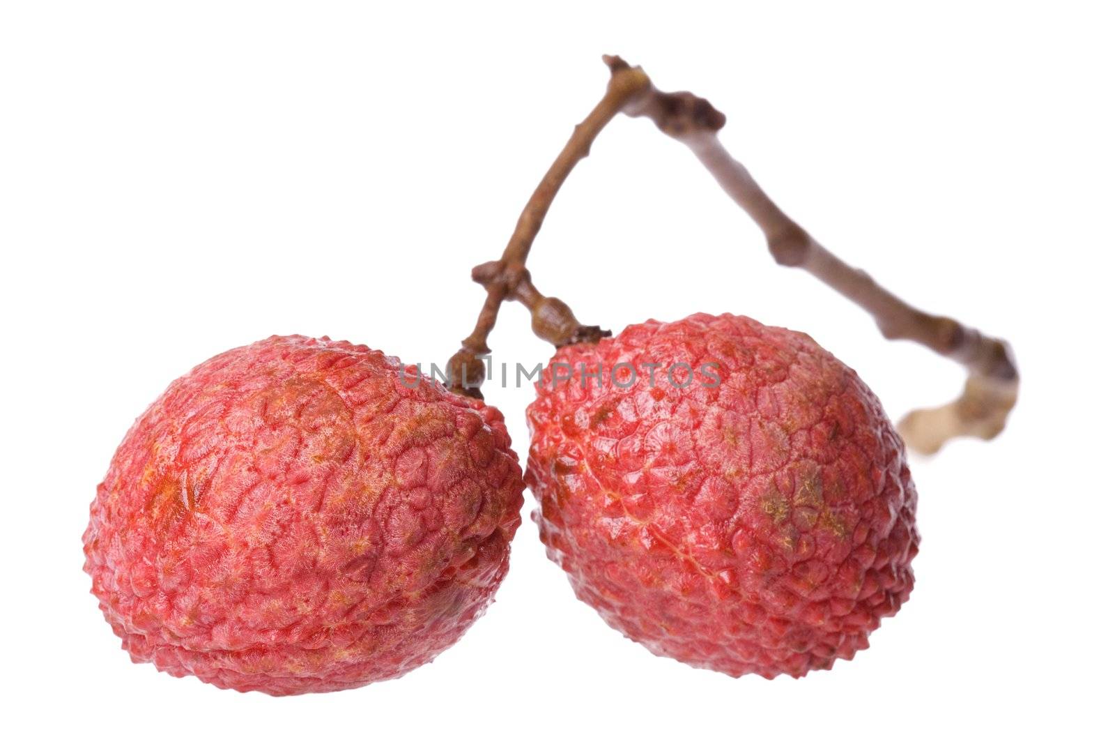 Isolated macro image of lychees.