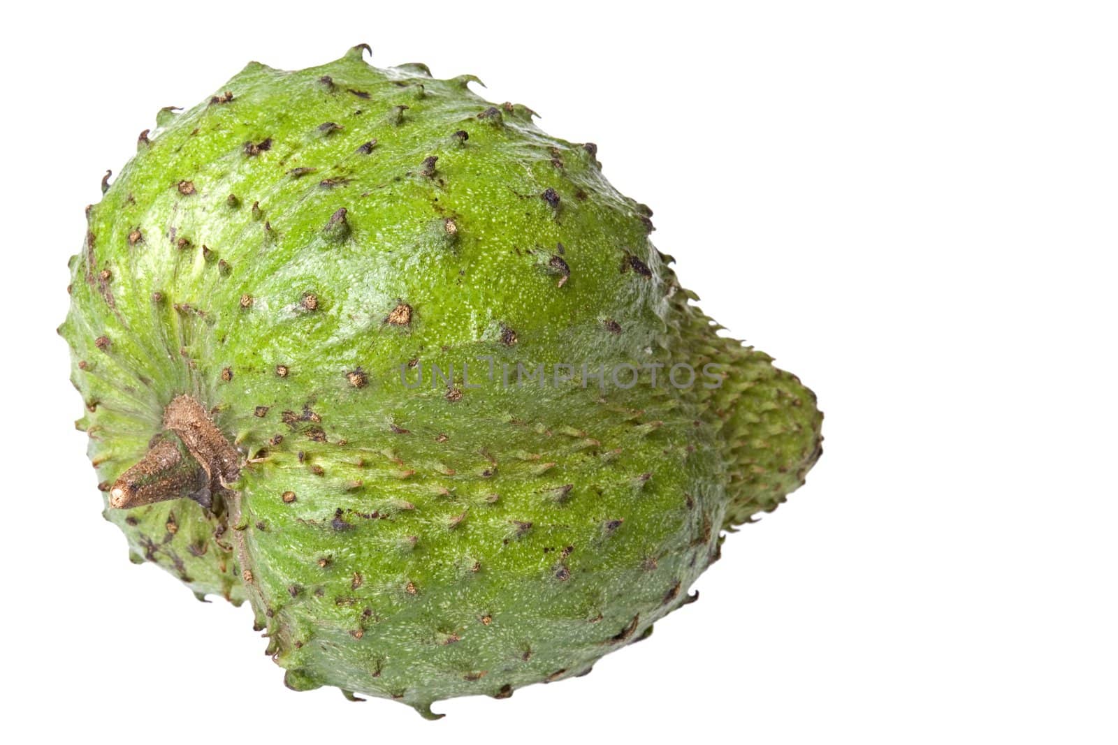 Isolated close-up image of a soursop.
