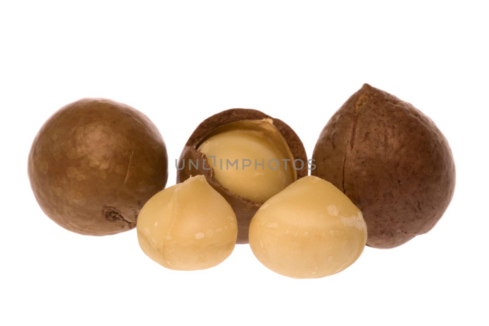 Isolated macro image of Macadamia nuts.