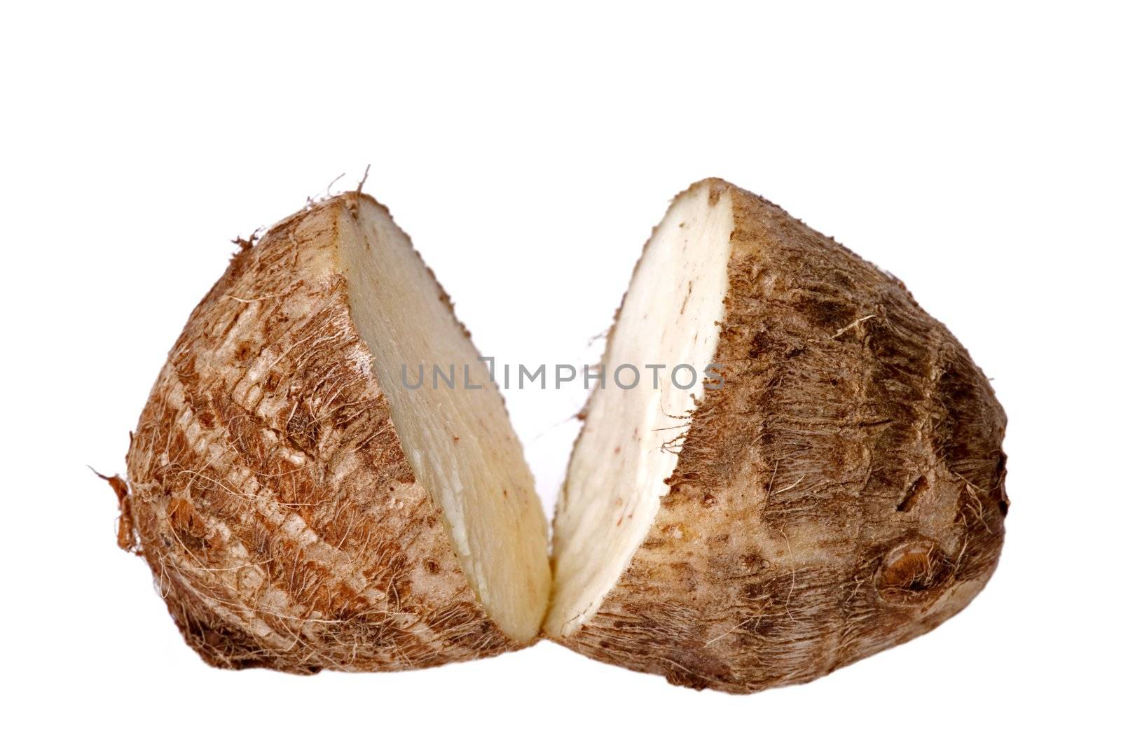 Isolated macro image of a small yam.