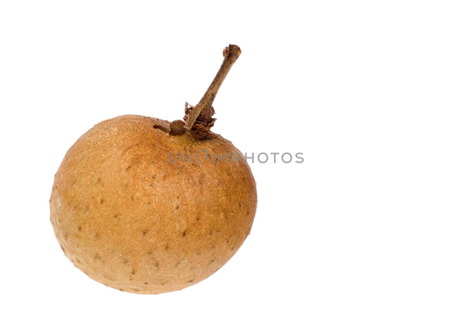 Isolated macro image of a longan.