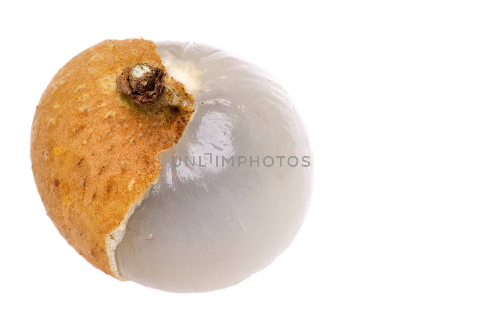 Isolated macro image of a longan.