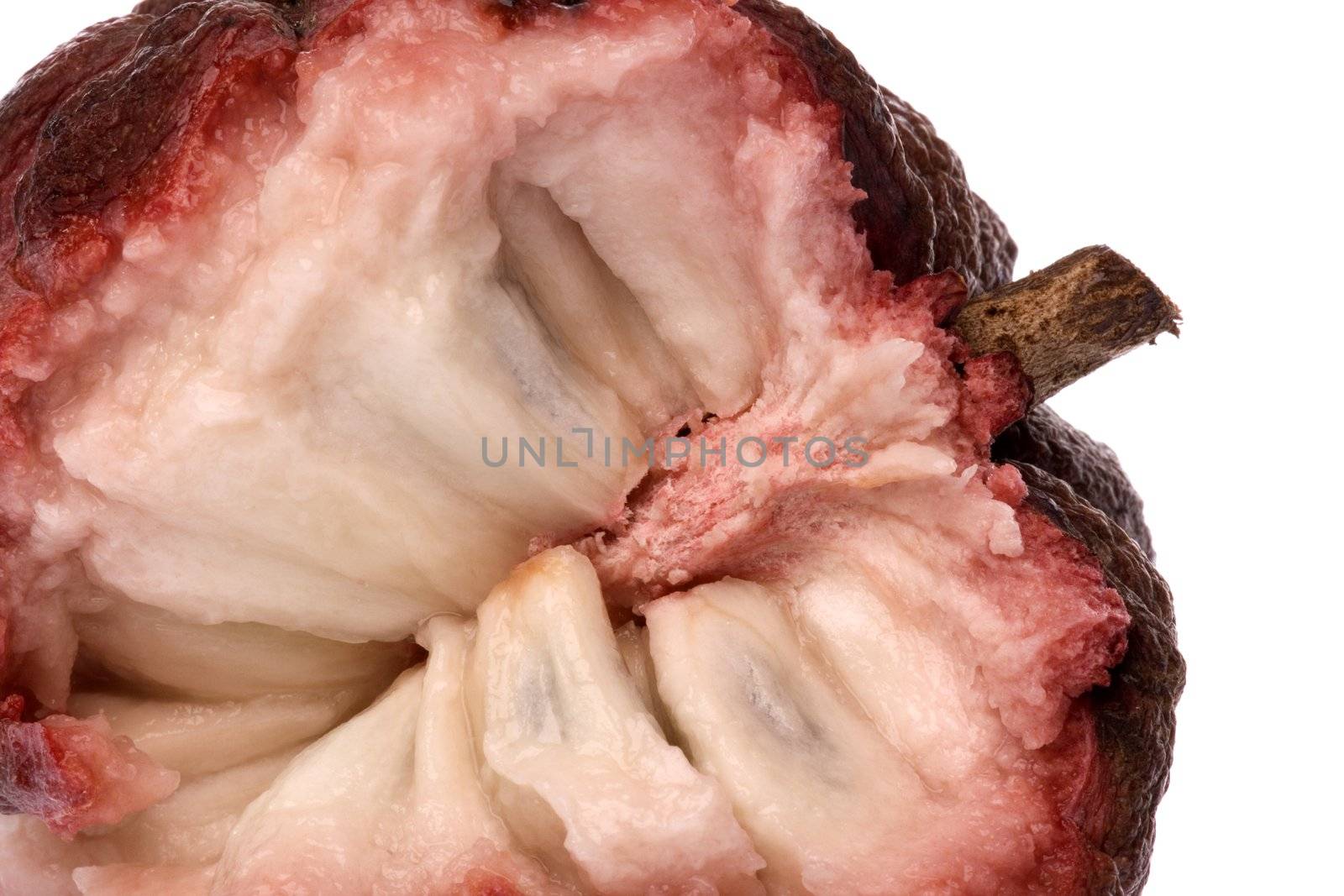 Isolated macro image of a custard apple.