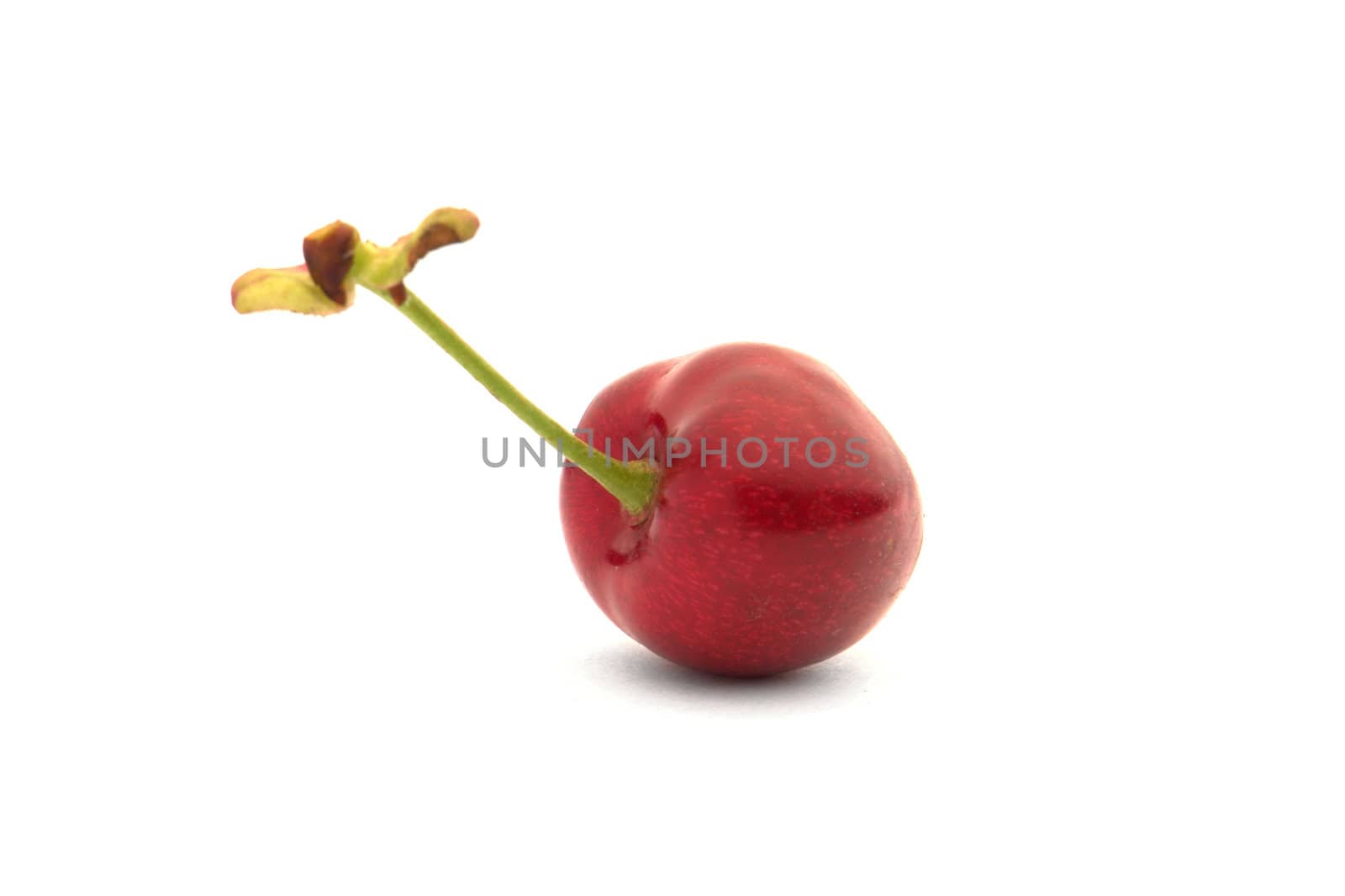 Red cherry �n a white background