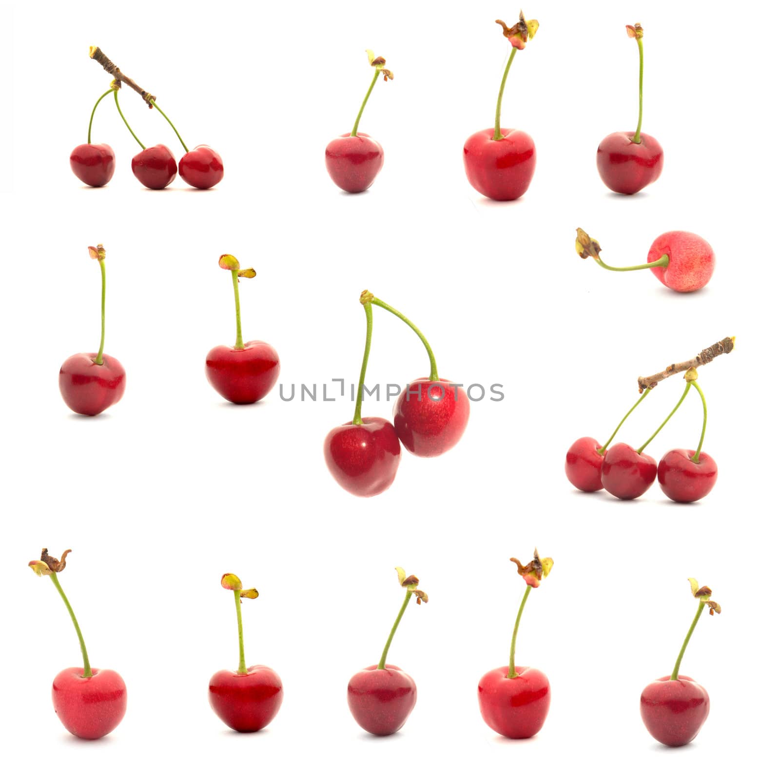  red cherry �n a white background