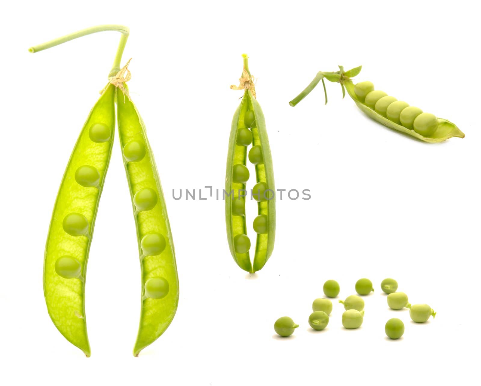 Garden fresh peas, on white                               