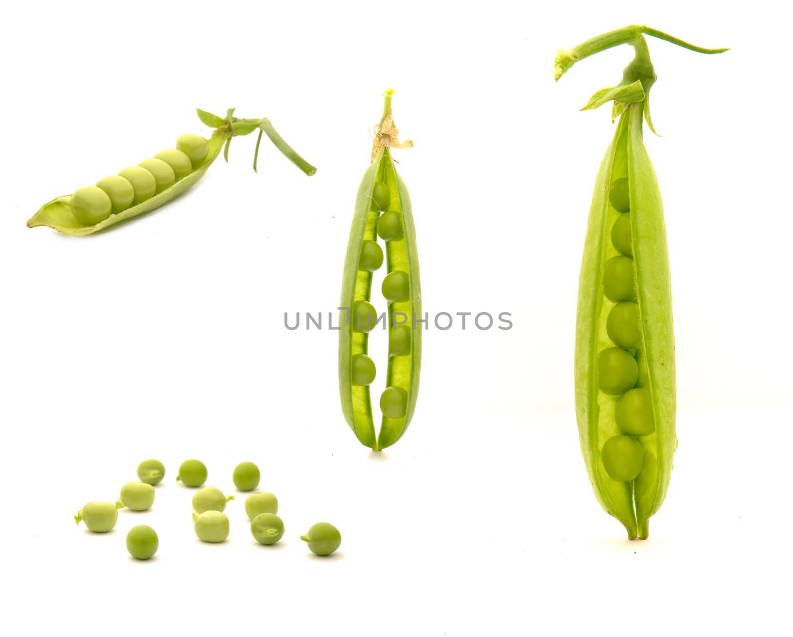 Garden fresh peas, on white                               