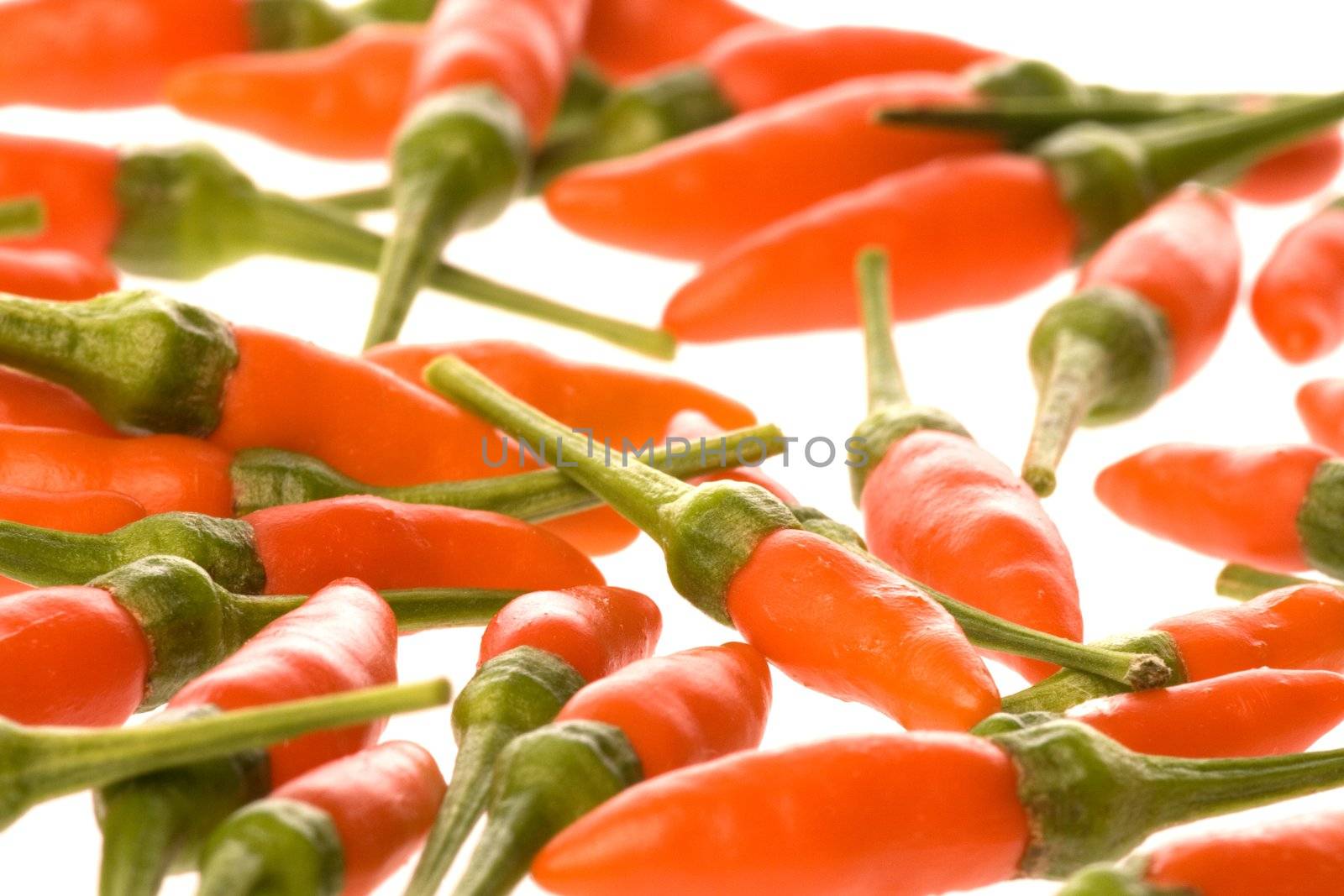 Isolated macro image of baby chillies.