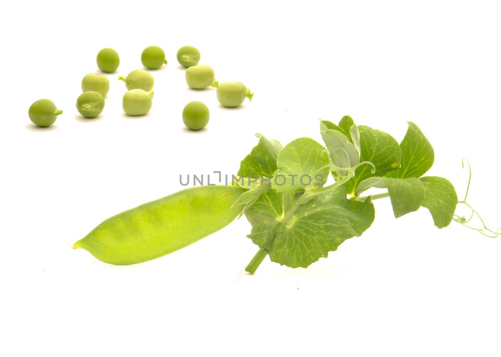 Garden fresh peas, on white                               